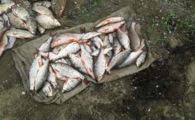 Ловили червонокнижну рибу: рибоохоронці Буковини виявили 82 порушення у червні