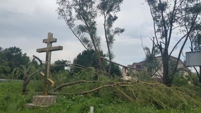 Електроопори і дерева ламало, як сірники: наслідки негоди на Буковині - фото