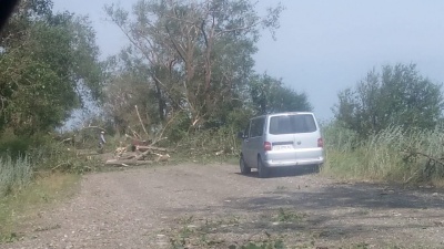 Електроопори і дерева ламало, як сірники: наслідки негоди на Буковині - фото