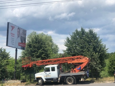 У Чернівцях ріжуть крони дерев, які знаходяться біля білборда з агітацією Яринича 