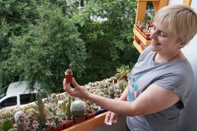 «Всі  кактуси цвітуть»: чернівчанка колекціонує кактуси