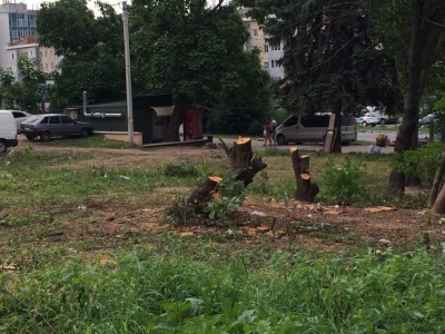 У Чернівцях у спальному районі масово вирубують дерева: мешканці лютують