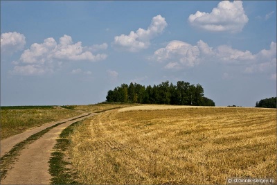 На Буковині прокуратура зобов'язала підприємця  повернути незаконно одержану землю