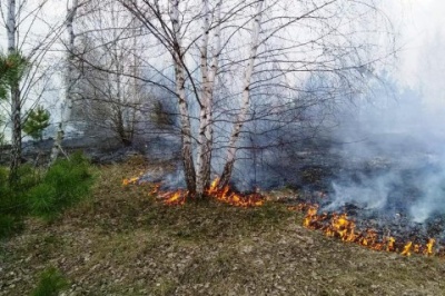 Рятувальники попереджають про найвищий рівень пожежної небезпеки