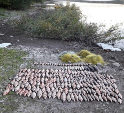 На межі з Буковиною затримали браконьєра, який виловив майже 100 кг риби