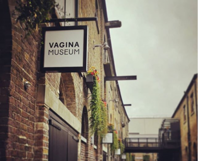 У Лондоні відкриється перший у світі Музей вагіни