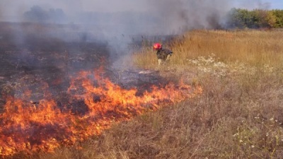 Залишили багаття без нагляду: на Буковині згоріло 5 гектарів сухої трави