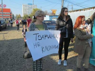 Як чернівчани ставляться до цирків з тваринами: репортаж із зоозахисної акції