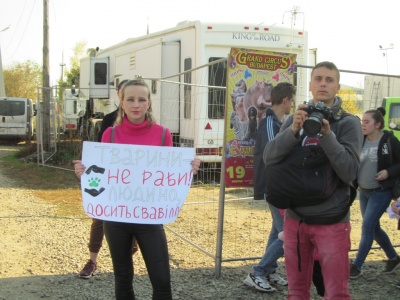 Як чернівчани ставляться до цирків з тваринами: репортаж із зоозахисної акції