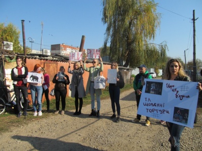 Як чернівчани ставляться до цирків з тваринами: репортаж із зоозахисної акції