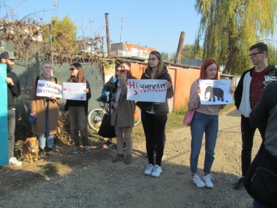 Як чернівчани ставляться до цирків з тваринами: репортаж із зоозахисної акції