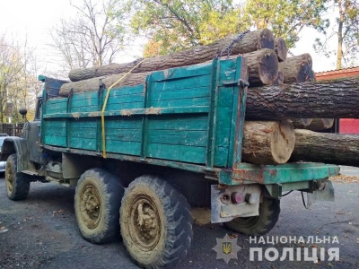 Буковинець незаконно перевозив деревину, йому загрожує три роки позбавлення волі