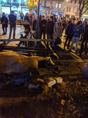 У Львові налякані петардою коні знесли лавку та травмували 15-річну дівчину
