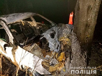 Авто врізалось у дерево і згоріло разом з водієм: деталі моторошної ДТП на Буковині