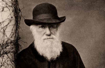Вчені спростували головну гіпотезу Дарвіна  