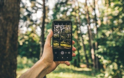 Уряд залучив до проєкту "Ліс у смартфоні" 6 областей