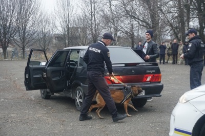 Шукають цигарки, затримують контрабандистів: як собаки допомагають прикордонникам Буковини