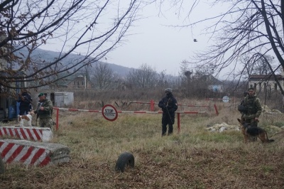 Шукають цигарки, затримують контрабандистів: як собаки допомагають прикордонникам Буковини