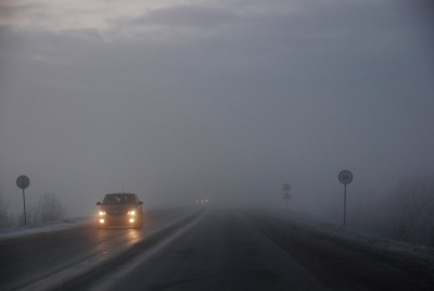 Як уберегтися від аварій під час туману: поради водіям від патрульних Буковини