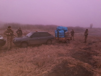 На Буковині двоє осіб незаконно перемістили через кордон значну партію саджанців троянд