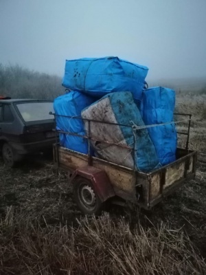 На Буковині двоє осіб незаконно перемістили через кордон значну партію саджанців троянд