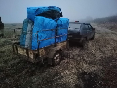 На Буковині двоє осіб незаконно перемістили через кордон значну партію саджанців троянд