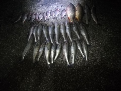 На Дністровському водосховищі браконьєри виловили сітками 22 кг риби