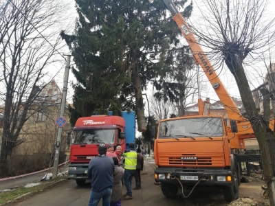 Головну ялинку Чернівців везуть на Соборну площу - фото