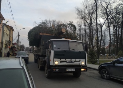 У центрі Сторожинця встановили 15-метрову новорічну ялинку