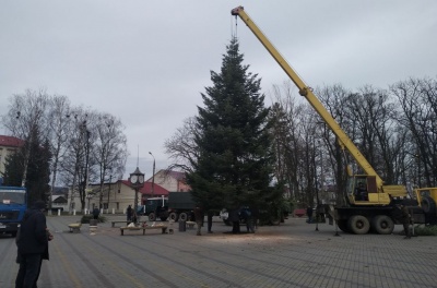 У центрі Сторожинця встановили 15-метрову новорічну ялинку