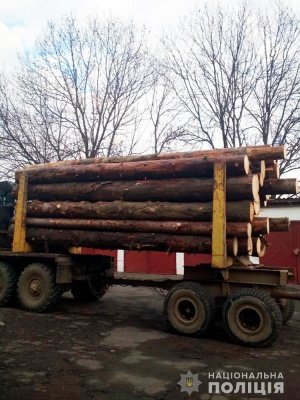 На Буковині чоловік незаконно перевозив більше 30-ти колод деревини