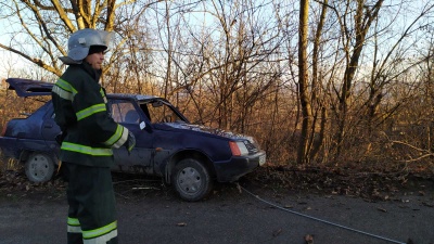 На Буковині легковик злетів з дороги і застряг поміж дерев