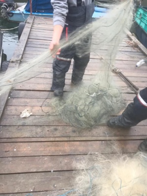 На Буковині рибний патруль вилучив з річки кілометр браконьєрських сіток