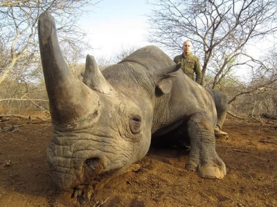 Шуфрич похизувався світлиною з вбитим носорогом