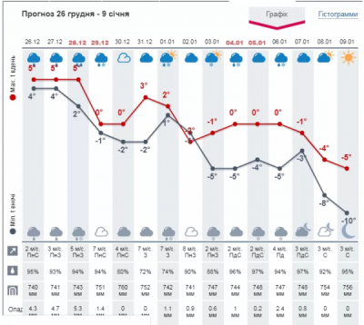 Україну засипає снігом: синоптики дали прогноз погоди на січень 2020 року
