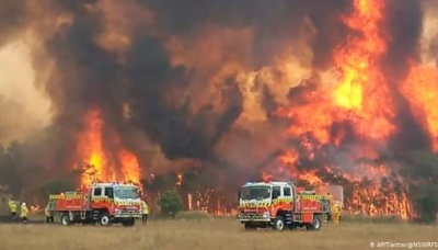 В Австралії лісові пожежі наближаються до Сіднея