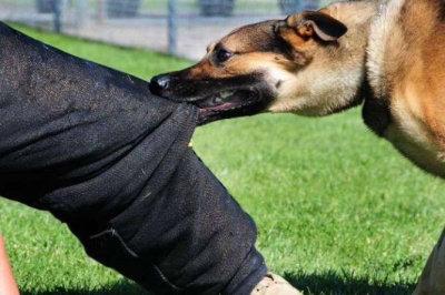 В Україні людина померла від сказу