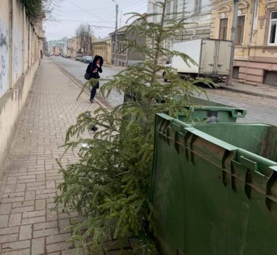 Куди у Чернівцях можна здати ялинки: список адрес