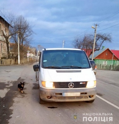 У селі на Буковині мікроавтобус збив велосипедиста