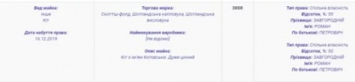 Помічник депутата від "Слуги народу" задекларував кота