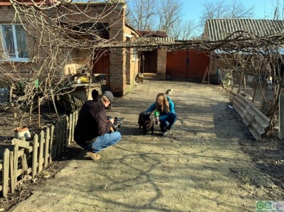 Журналісти знайшли собаку, якого «слуга народу» радив продати, щоб сплатити за комуналку