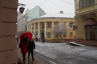 Зима повернулась: Чернівці засипає снігом – фото