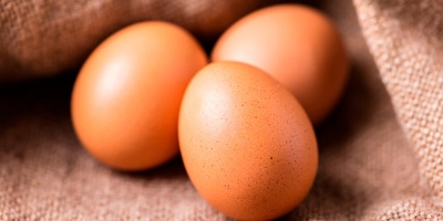 Найкорисніші властивості курячих яєць