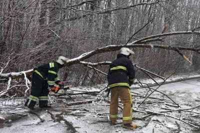 Повалені дерева і застряглі в заметах авто: як на Буковині боролися з наслідками негоди - фото