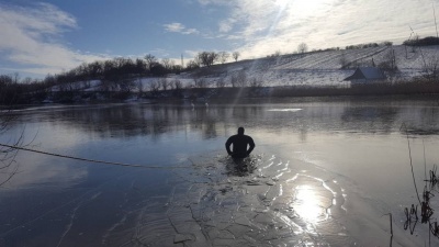 На Буковині врятували двох лебедів, які примерзли до криги на озері