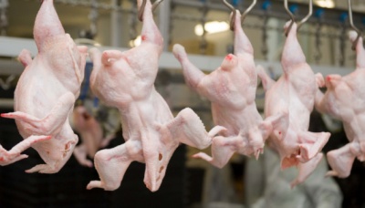 Євросоюз частково зняв заборону на імпорт української курятини
