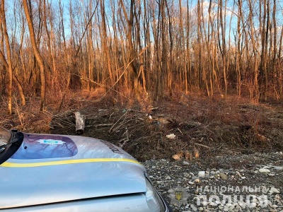 На Буковині невідомі вирубали лісосмугу й проклали дорогу – фото