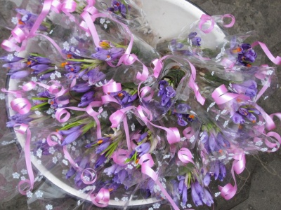 Первоцвіти – під загрозою зникнення: скільки рідкісних весняних квітів продають на Буковині