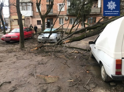 Повалені дерева і стовпи, потрощені автівки: наслідки нічного буревію на Буковині