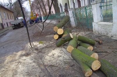 У Чернівцях ліквідовують наслідки буревію - фото